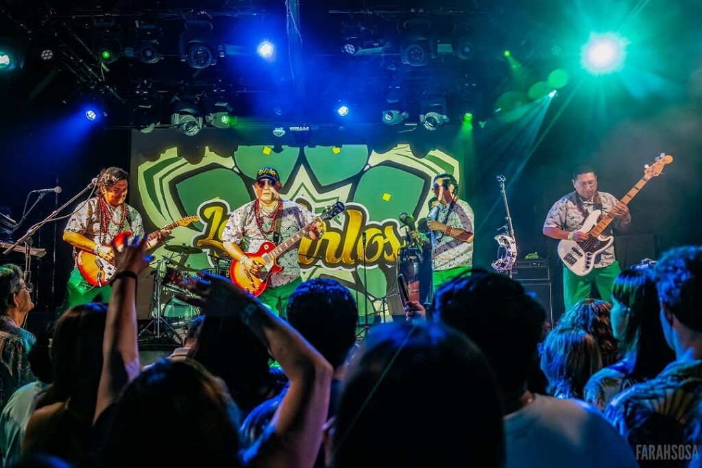 Los Mirlos concierto en vivo